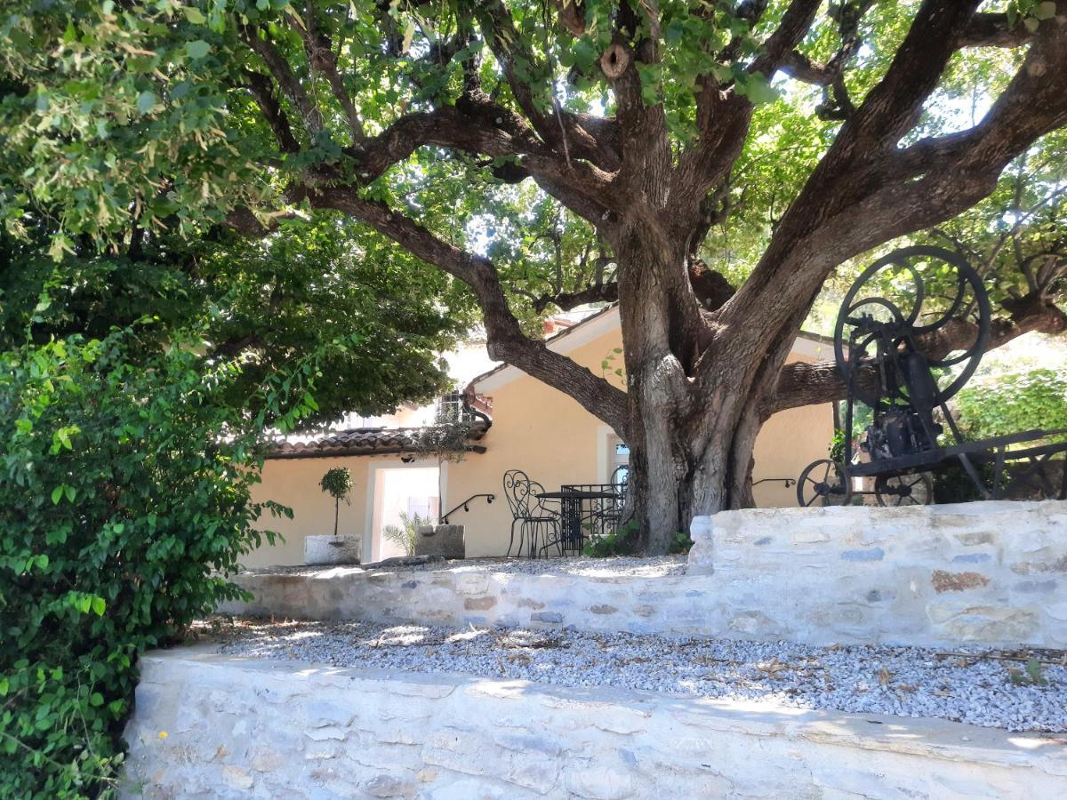 Le Gite Calluna Sablet Exterior foto
