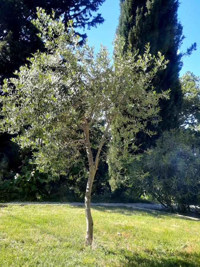 Le Gite Calluna Sablet Exterior foto