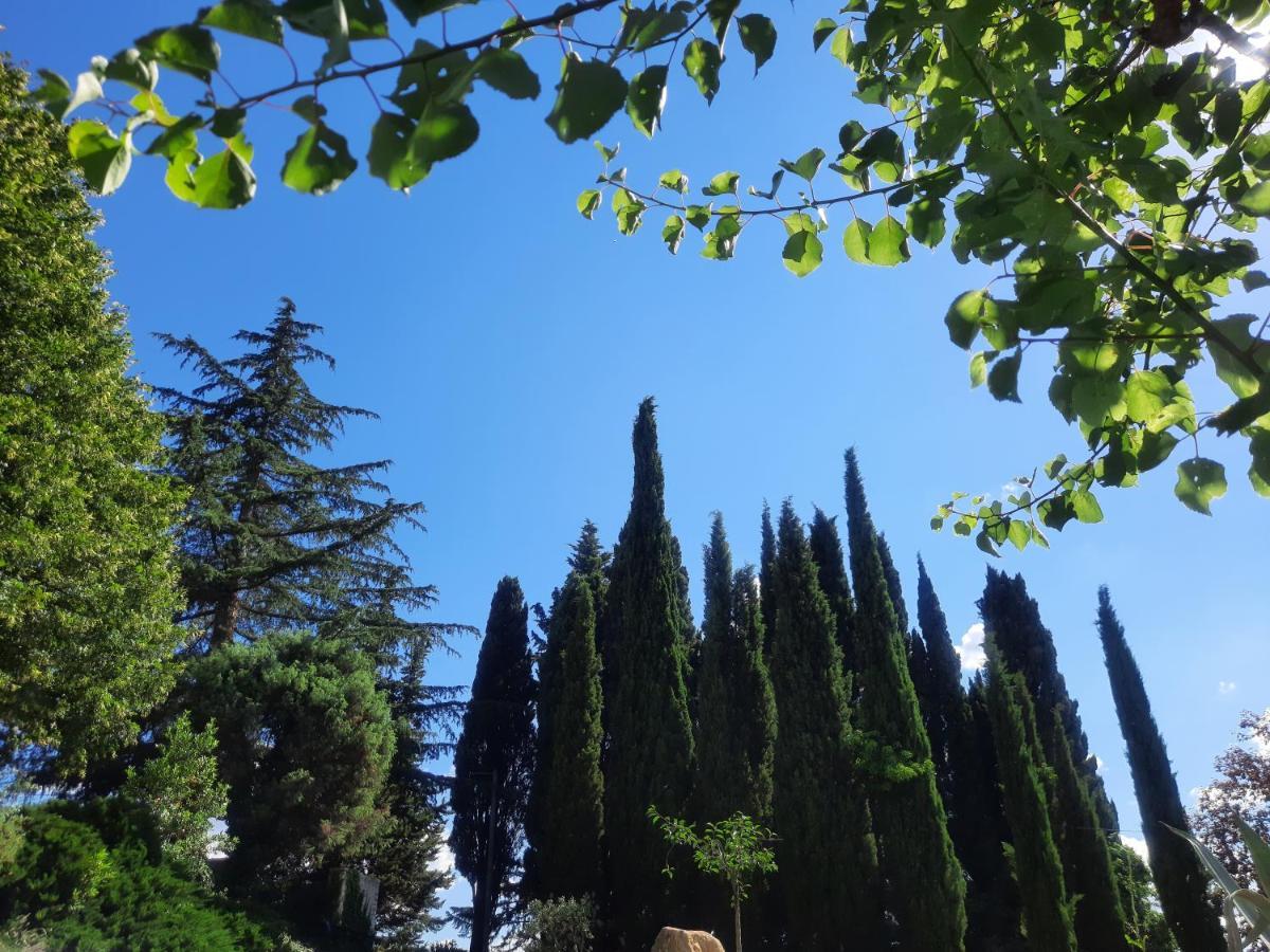 Le Gite Calluna Sablet Exterior foto