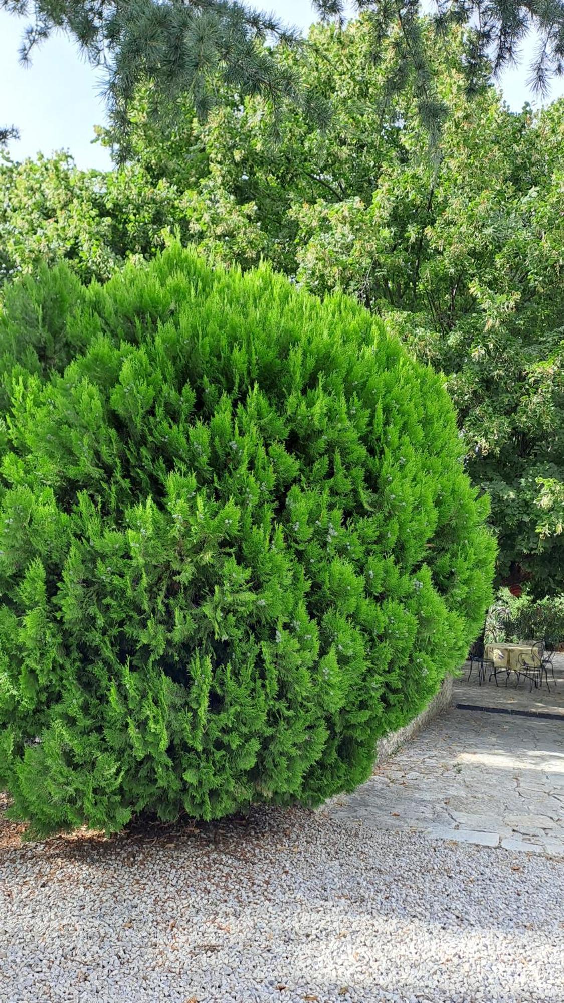 Le Gite Calluna Sablet Exterior foto